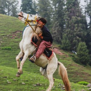 premiumdomains.com.ng