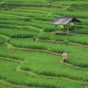 farmers.com.ng